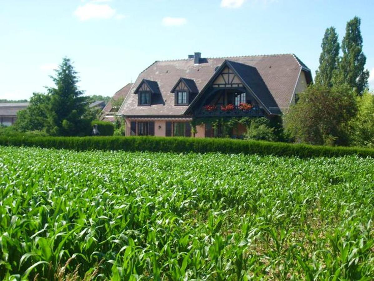 Appartement Charmant A Hochfelden 100 M² Et Parking Gratuit Gottesheim Exterior foto